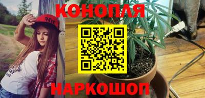 сатива Бугуруслан