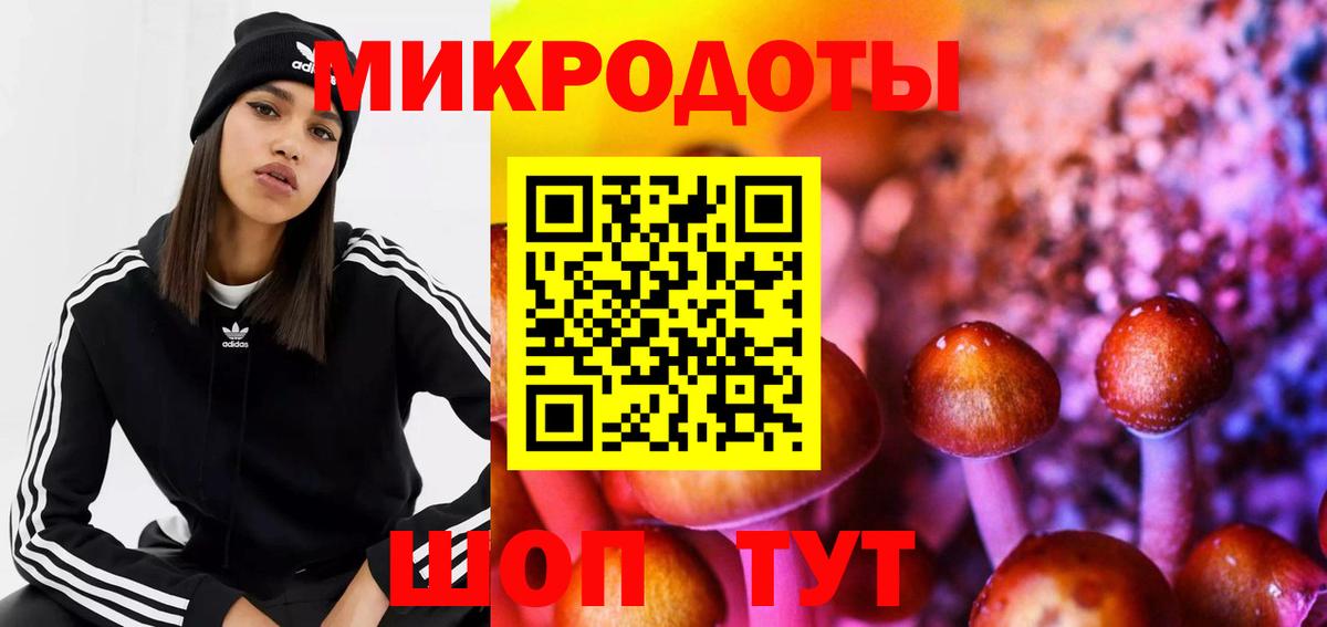 Ливны  Псилоцибиновые грибы Psilocybe  Вход с VPN 